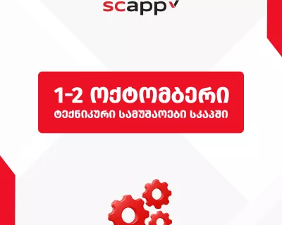 teqnikuri samushaoebi